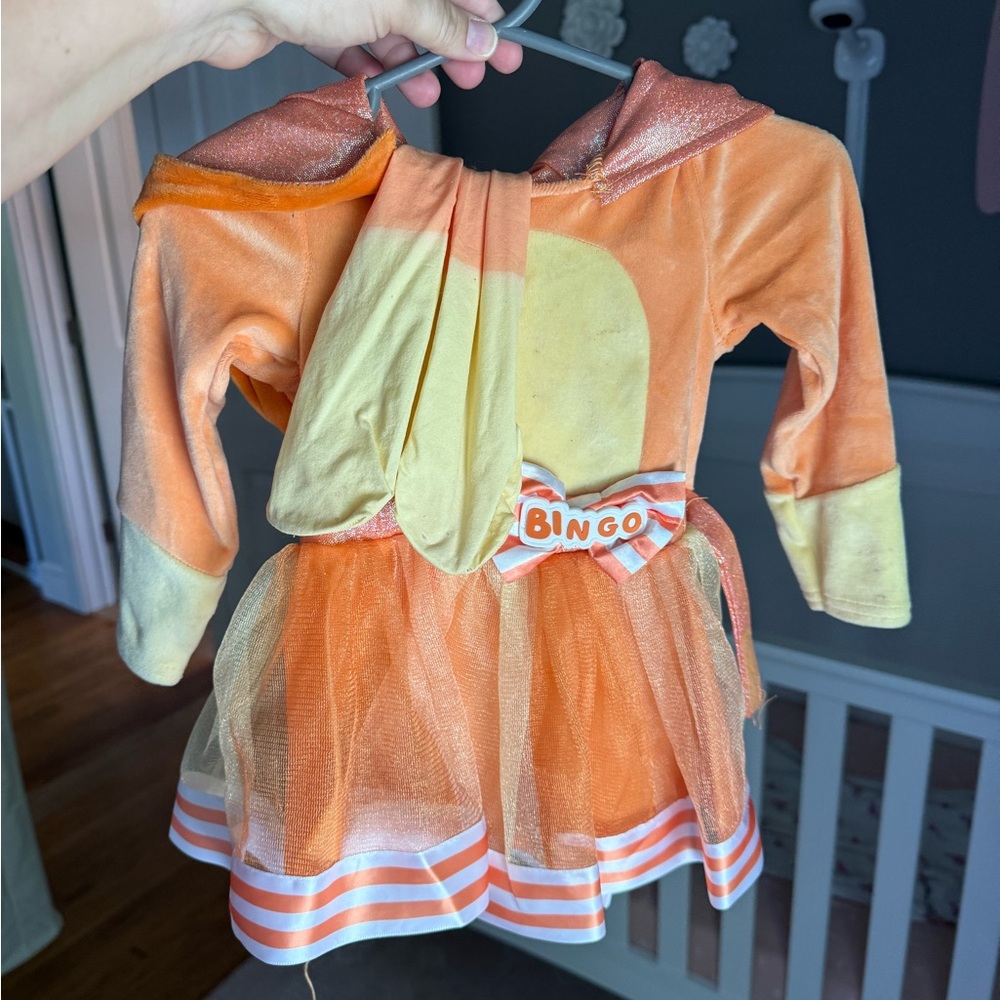 Bingo Halloween Costume!